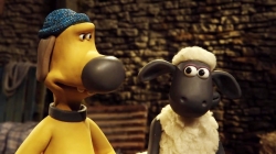 بره ناقلا (گاو در برابر گوسفند)